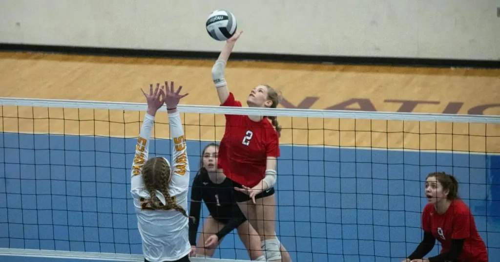 pexels tomfisk 17643081